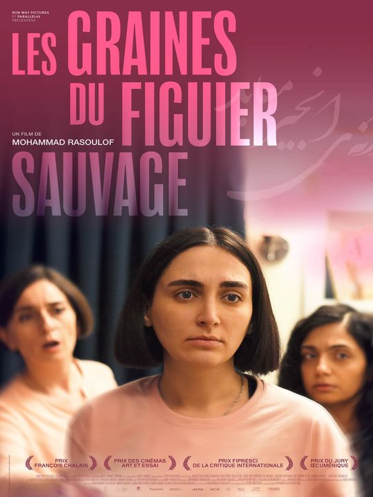 LES GRAINES DU FIGUIER SAUVAGE